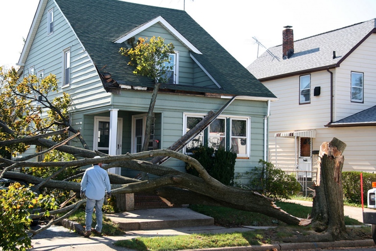 Top reasons to hire a public adjuster in Florida